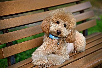 《断奏》Steam页面上线 支持简体中文